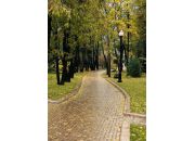 ������ "�����"