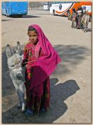 Бедуинка с осликом
