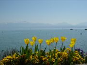 Morges