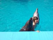 я с дельфинами