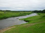 DSCN0885