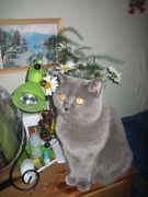 IMG 1302