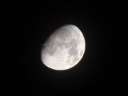 moonlight