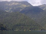 IMGP0385 2