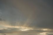 DSC 0121