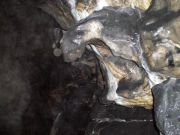 in the cave