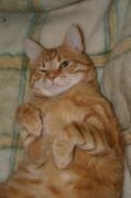 IMG 0638