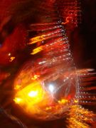DSC00060