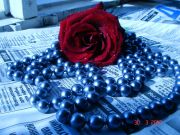 DSC00109 (3)