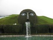  196