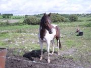 PIC 0055