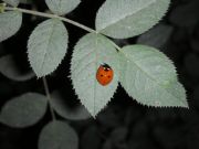 DSCN0167
