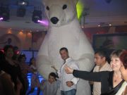 IMG 0371