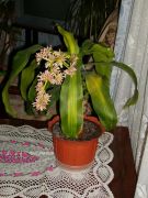 PICT0053 .