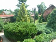DSCF0222