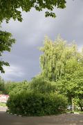 DSC03469