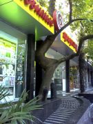  ����� � �������� ��������