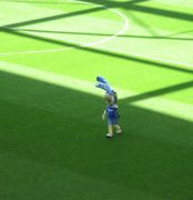 Gelsenkirchen, 10/05/08, Schalke Stadium, before the match Schalke vs Eintracht