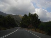 , 8