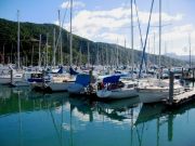 Yachts in Picton