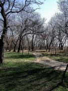 Resize of Resize of rocha3