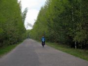 IMG 7685
