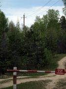 IMG 7689