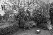 DSCF0946