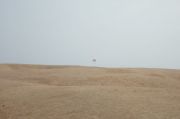 DSCF6547