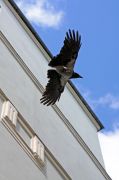 IMG 5164