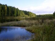 -2008 115