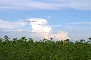 PICT4952