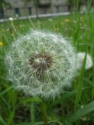 DSCF1732
