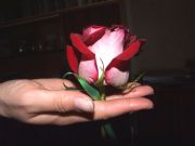 DSCF2144