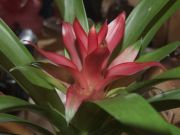 DSCF0183