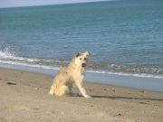 IMG 0553