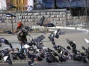 ���������3