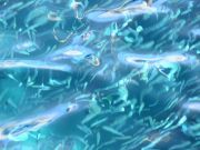 DSCN3283