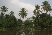 Back water, 