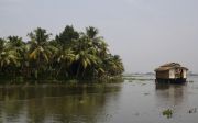 Back water, 