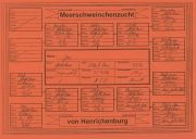 Joy von Henrichenburg