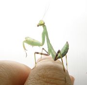 P2101001