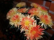 ����������