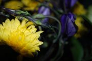 DSC 0180