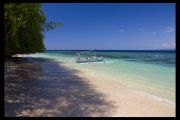 IMG 3638 copy