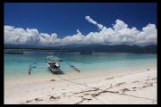 IMG 3874 copy