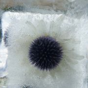  MG 5934