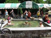IMG 6942