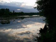 Picture-005
