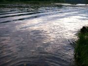 Picture-011